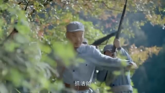 The enemy didn't realize that the 80-year-old grandmother was a legendary kung-fu master.