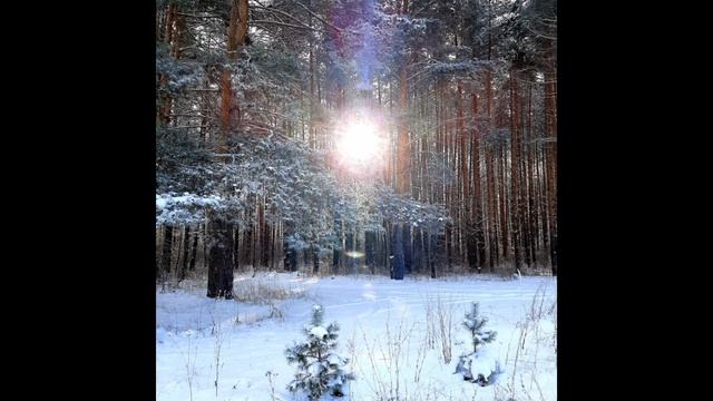 20-02-2025 Февраль, солнце,  туман, серебро, хрустящий снег.....