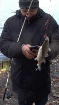 Две рыбки за раз