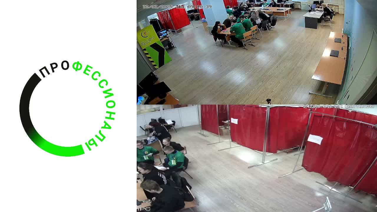 Профессионалы 2025 | Программные решения для бизнеса