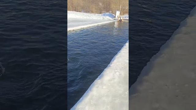 1000008938.mp4