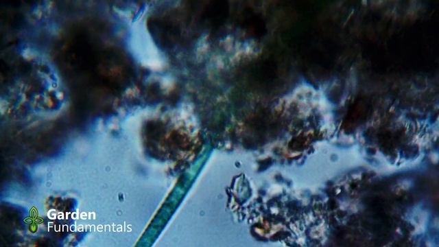 Secrets to Better Plant Health - Microbe Science for Gardeners