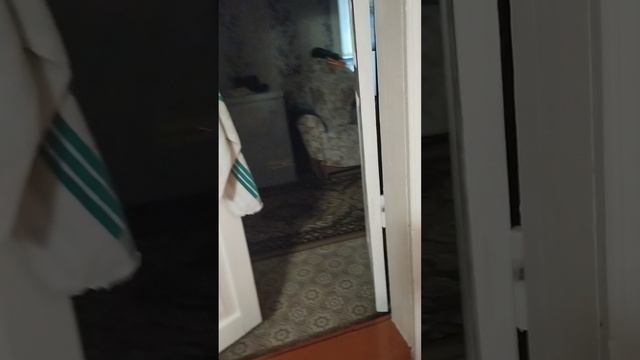 VID_20250218_214537.mp4