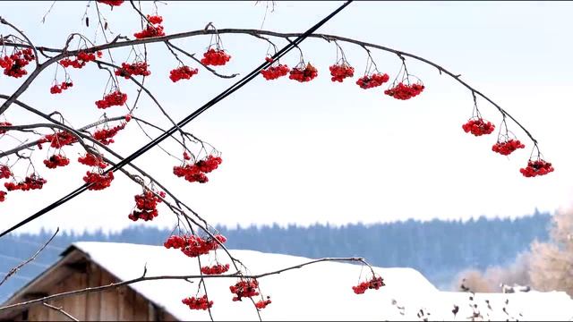 Как красив наш Вятский край.