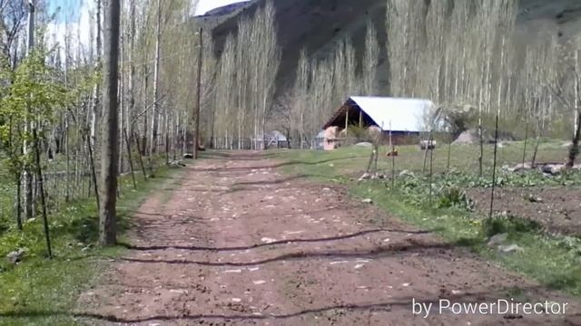 Н.Сангвор