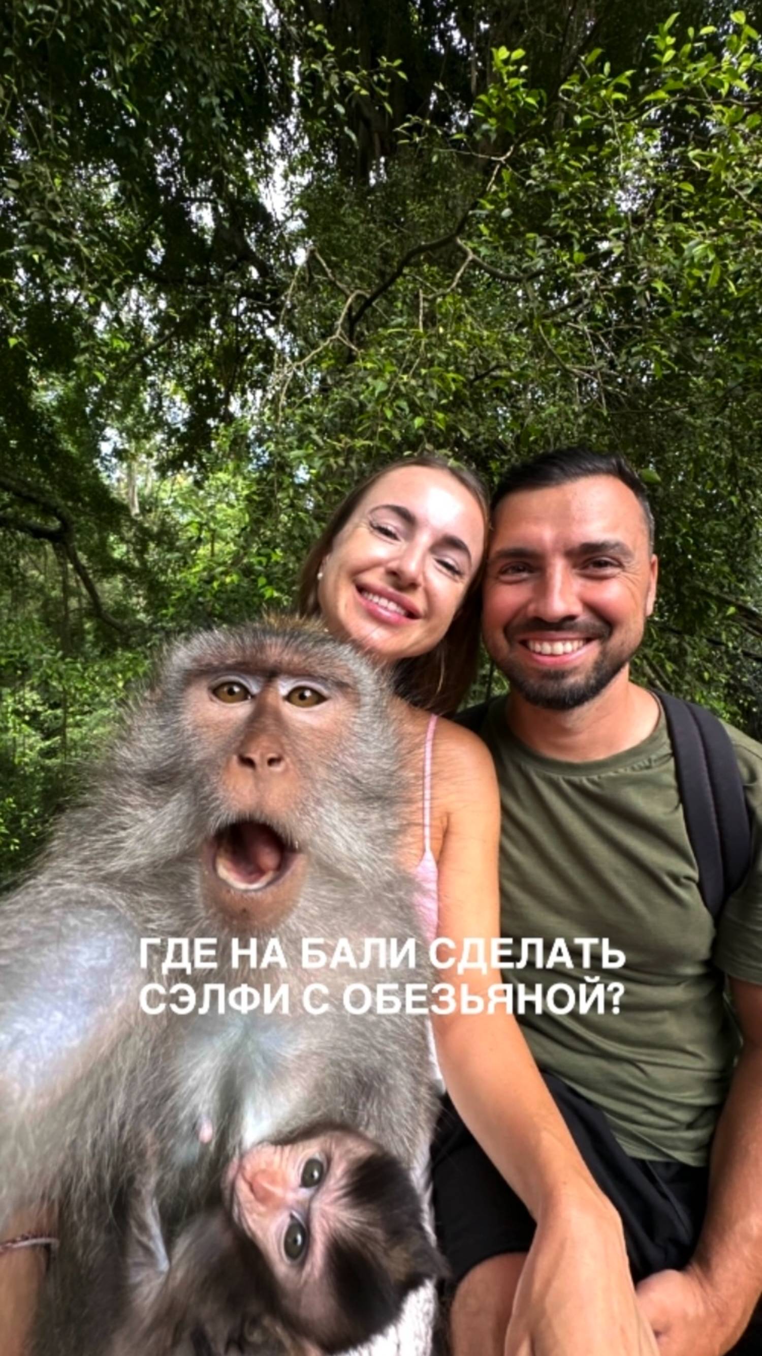 Monkey Forrest
