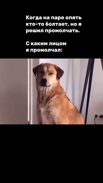 С каким лицом я промолчал