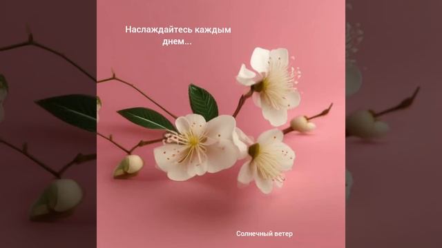 Мыслите красиво...