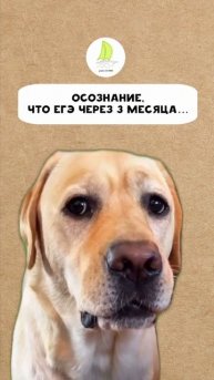 До ЕГЭ 3 месяца…