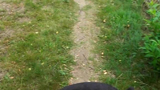 Роман-Кош Ноттердам. Кельн. сын РК Евпатории и РК Гасфорта Блек Си. Германия. 3 мес.