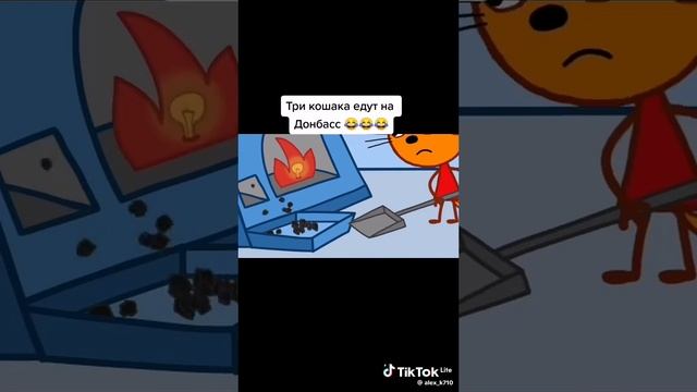 Три кошары едут на Донбасс