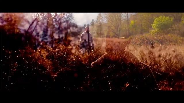 Avi Kaplan - Avriel & The Sequoias ("Sage and Stone") | JUNE 6, 2017