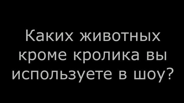 Интервью участников шоу "Бах со Смайлом"