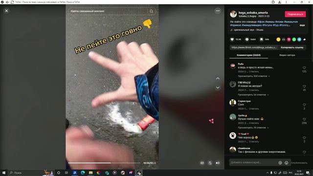 видео с голосом