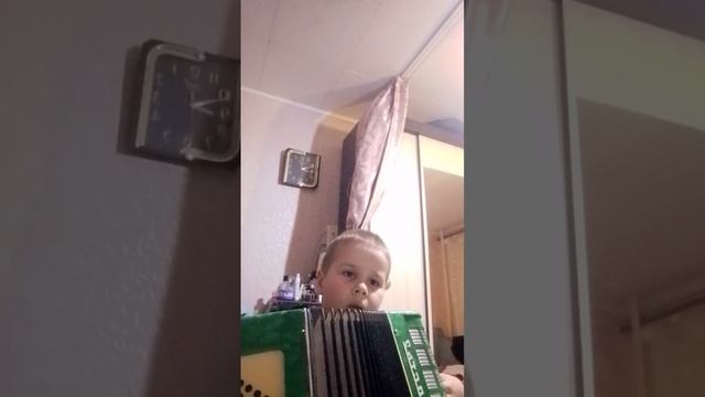 Играю на аккордеоне песню мой первый вальс