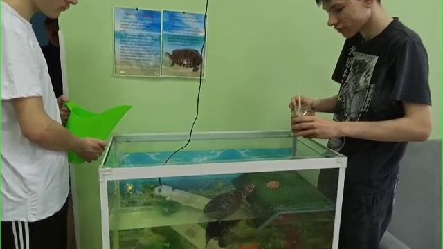 Наш любимый питомец Василий
