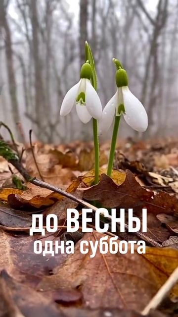 Скоро!