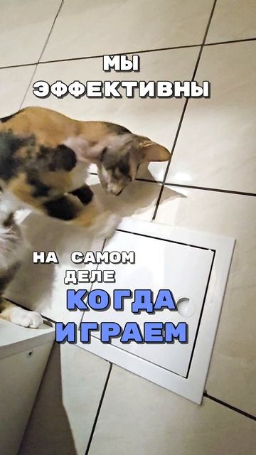 Эффективность