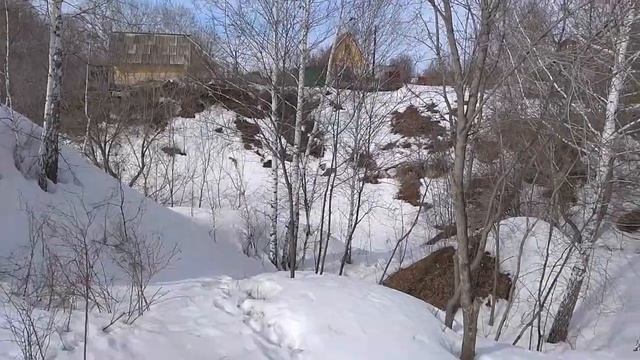Жизнь Дачная #11. Не для слабонервных