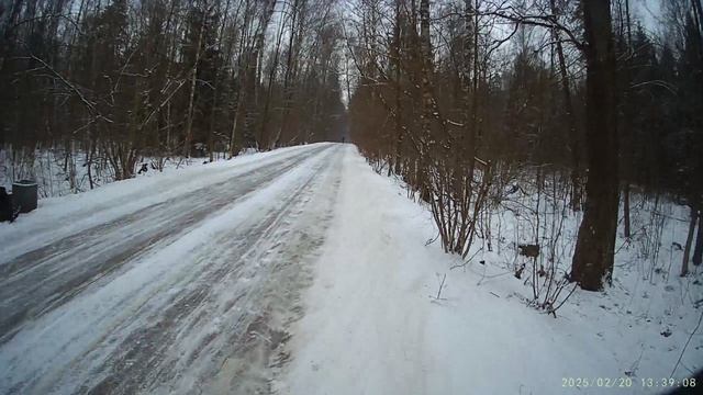 Люди гуляют по просеке. А день будний.