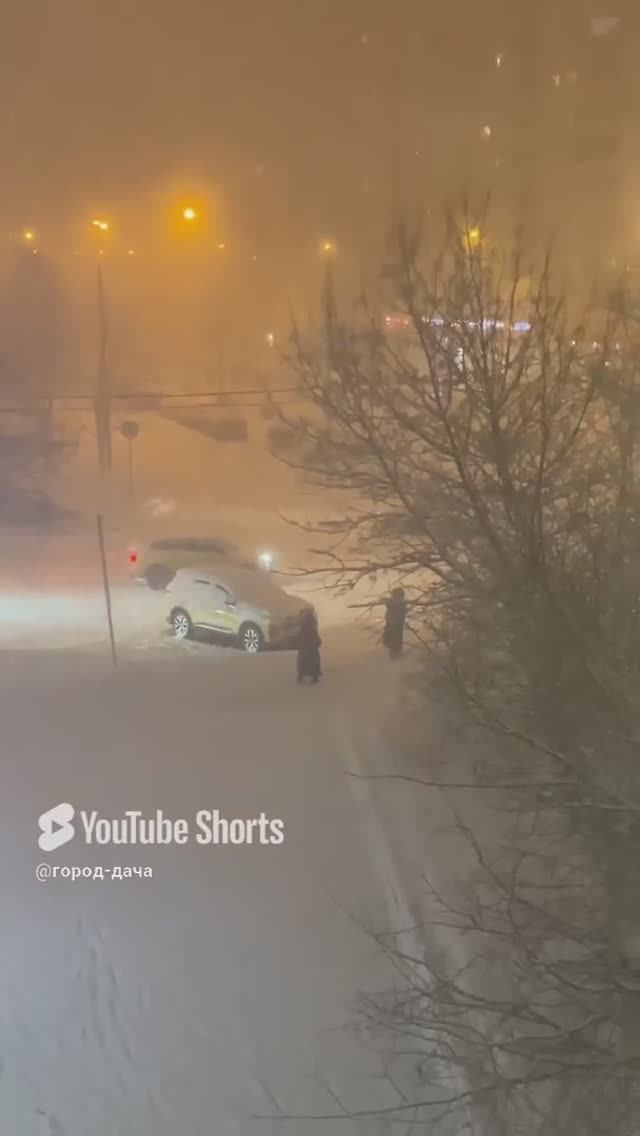 Завалило снегом, опять зима#shorts #short #снег #зима #winter