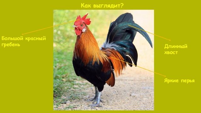 Конкурс проектов 2025. Новогиреевская. 178