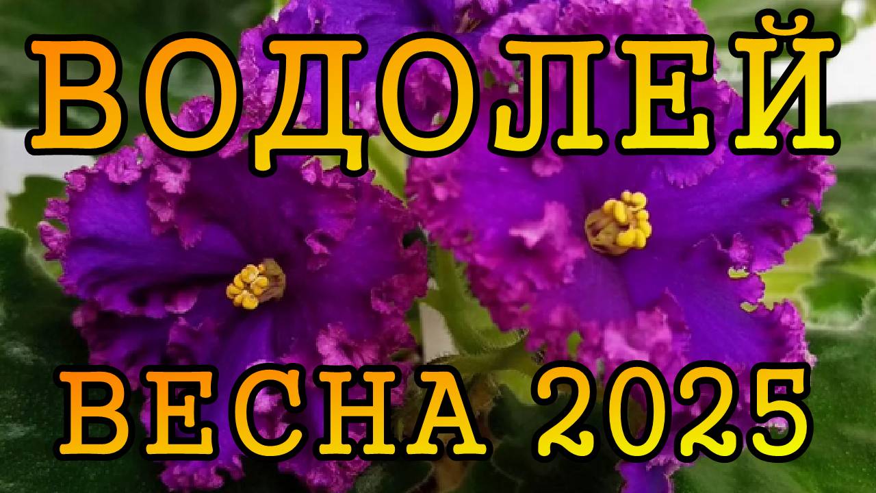 ВОДОЛЕЙ таро прогноз на ВЕСНУ 2025 года (март, апрель, май)