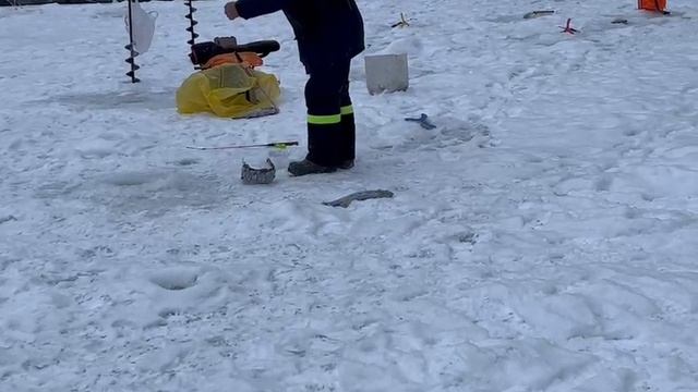 20.02.25 г. РК Волна