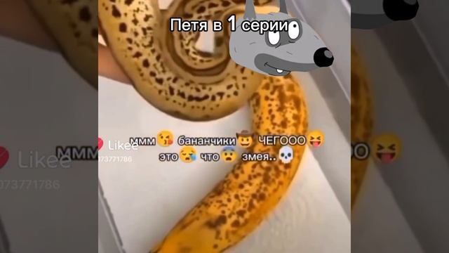 ТОЛЬКО НЕ ЗМЕЯ А СОБАЧКА АХАХАХАХ
