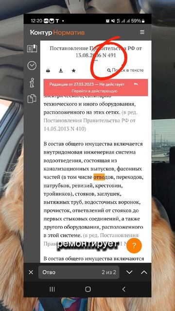 491 постановление.mp4