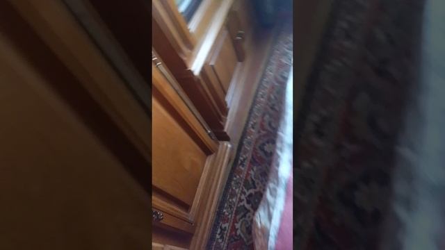 1000000421.mp4