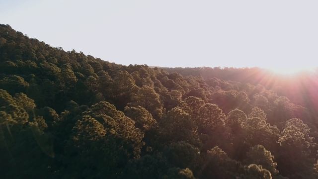 Разные уголки мира