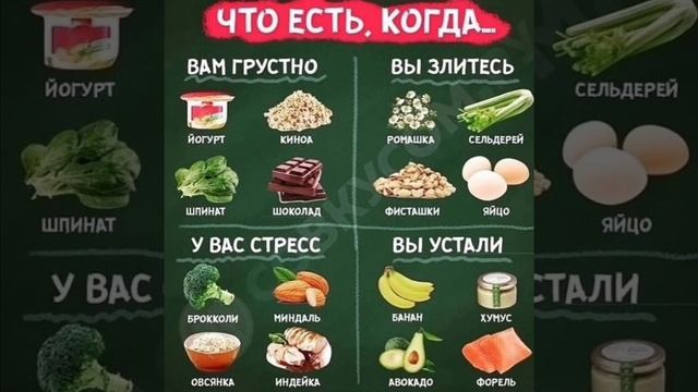 Продукты на все случаи.Что когда есть.