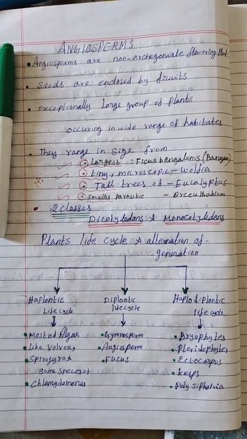 ANGIOSPERMS EXAMPLE (Plant kingdom)