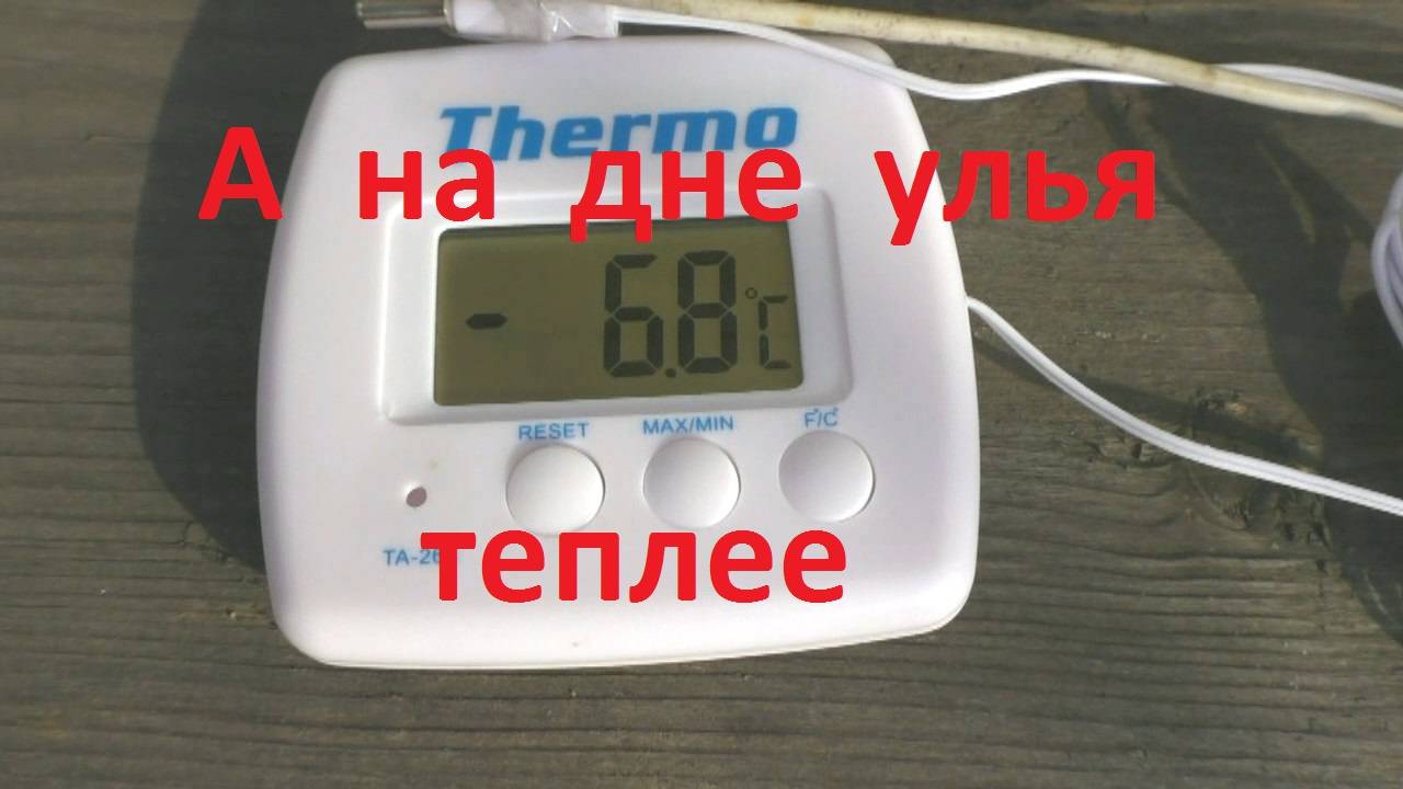 Температура на дне улья при минусе снаружи