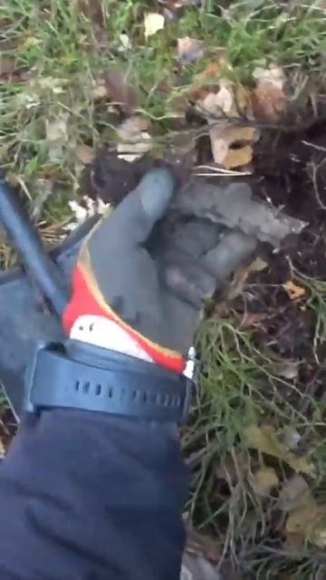 Поясок. НЕ ПРОПУСТИТЕ СКОРО ПОЛНОЕ ВИДЕО! #коп #поисксметаллоискателем #metaldetector #клад