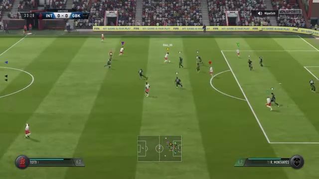 Partidos cerberus