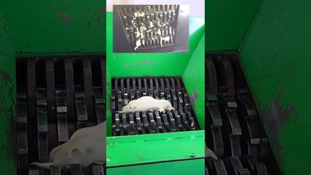 #подмикроскопом #наука #микроскоп #микромир #интересно