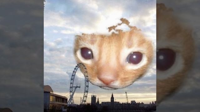 eyesaidit letthatshigo