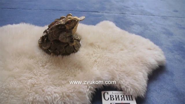 БРЕД: Александр Свияш
