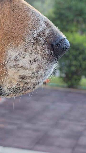 12511701_2160_3840_60fps