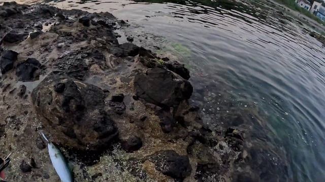 Пора Сибаса. Морская рыбалка с берега в Южной Корее
