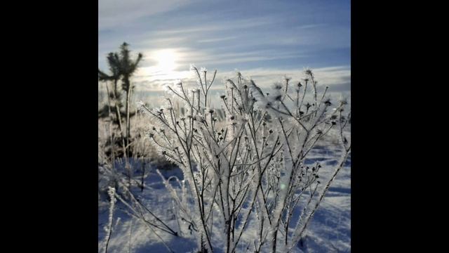 20-02-2025 Утренняя февральская прогулка(продолжение)