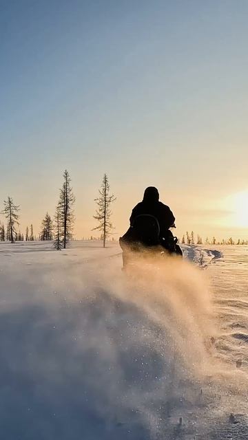 Оленевод тестирует Lynx Adventure 600 ACE в тундре – неожиданный вердикт!