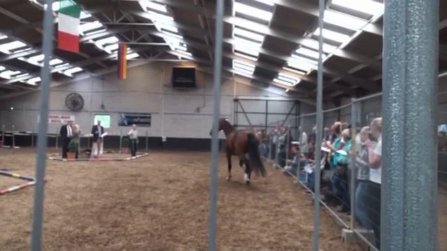 gelderse keuring didam