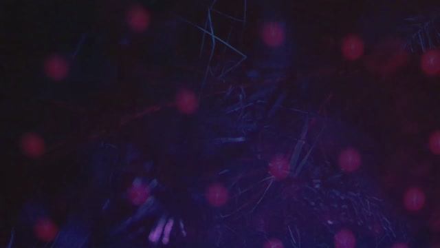 Новогодний кавардак. Стихи и видеомонтаж мои. Музыка - чардаш.