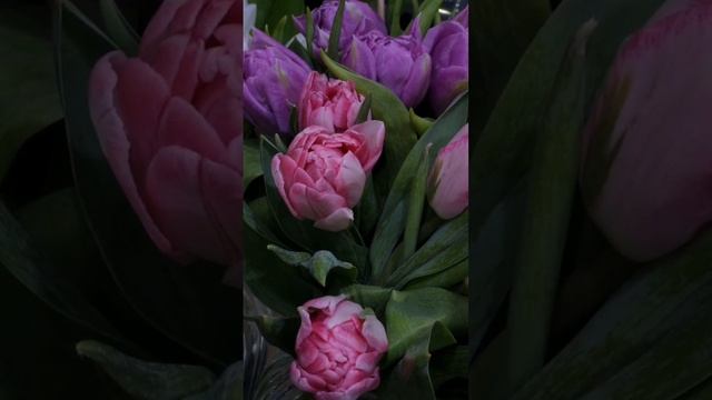 1000197833.mp4