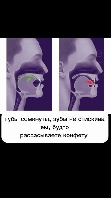 Язык - мощная мышца, воздействующая..