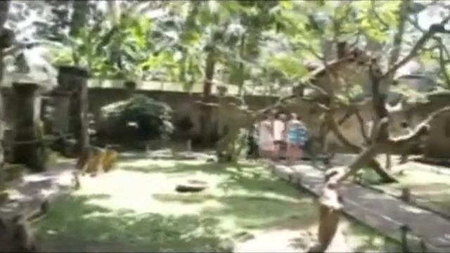 Bali Bird Park