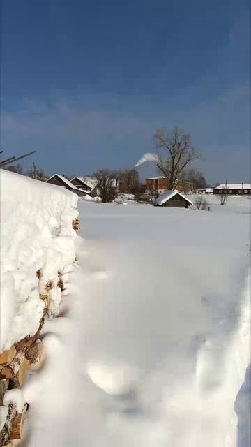 Мороз и солнце